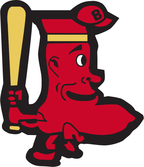 Boston Red Sox 1950-1959 Alternate Logo fabric transfer
